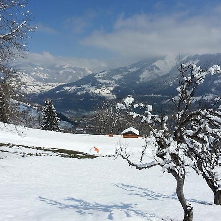 Ferienwohnung Mitterleithengut Zell am See Exteriér fotografie
