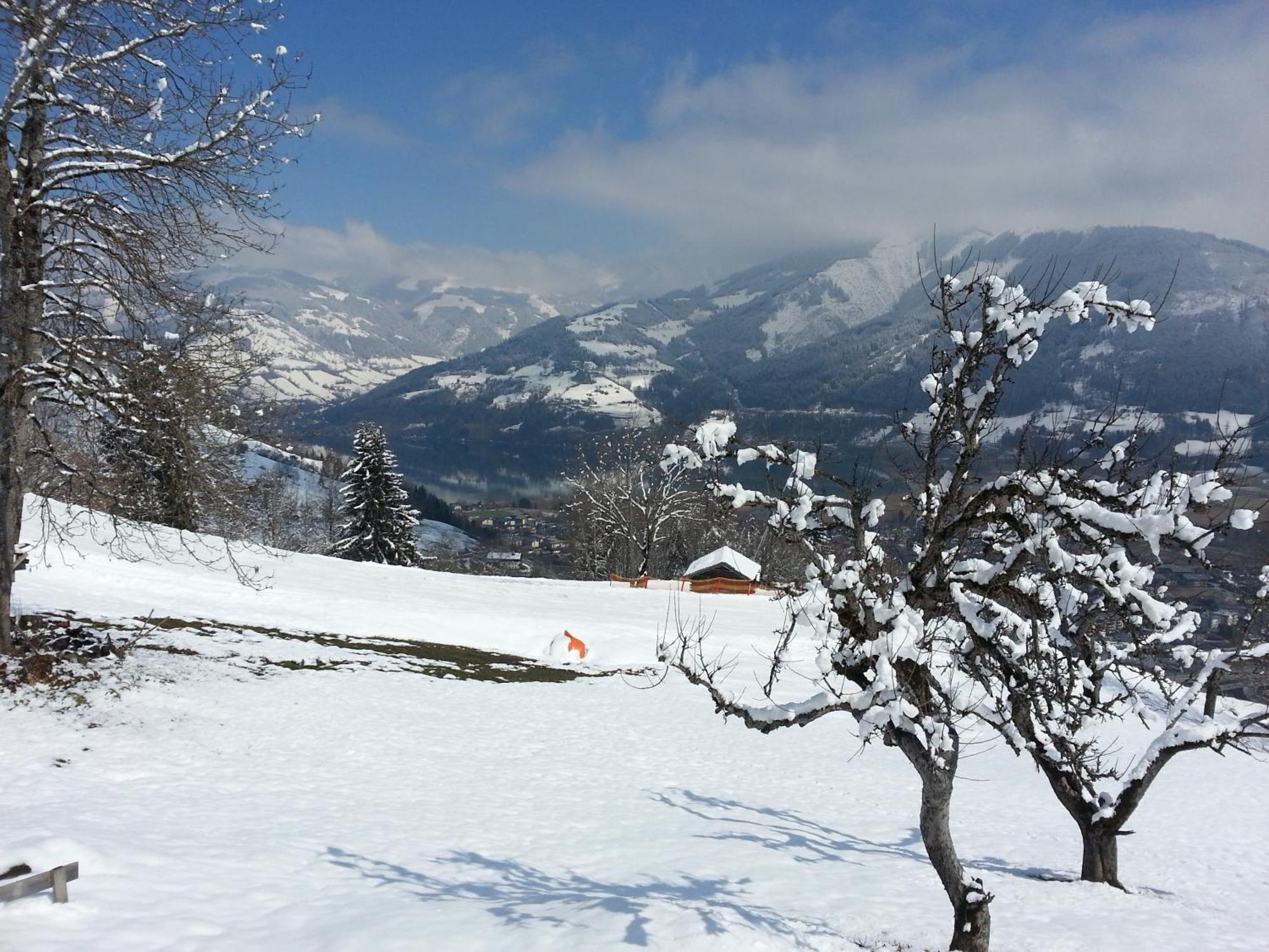 Ferienwohnung Mitterleithengut Zell am See Exteriér fotografie