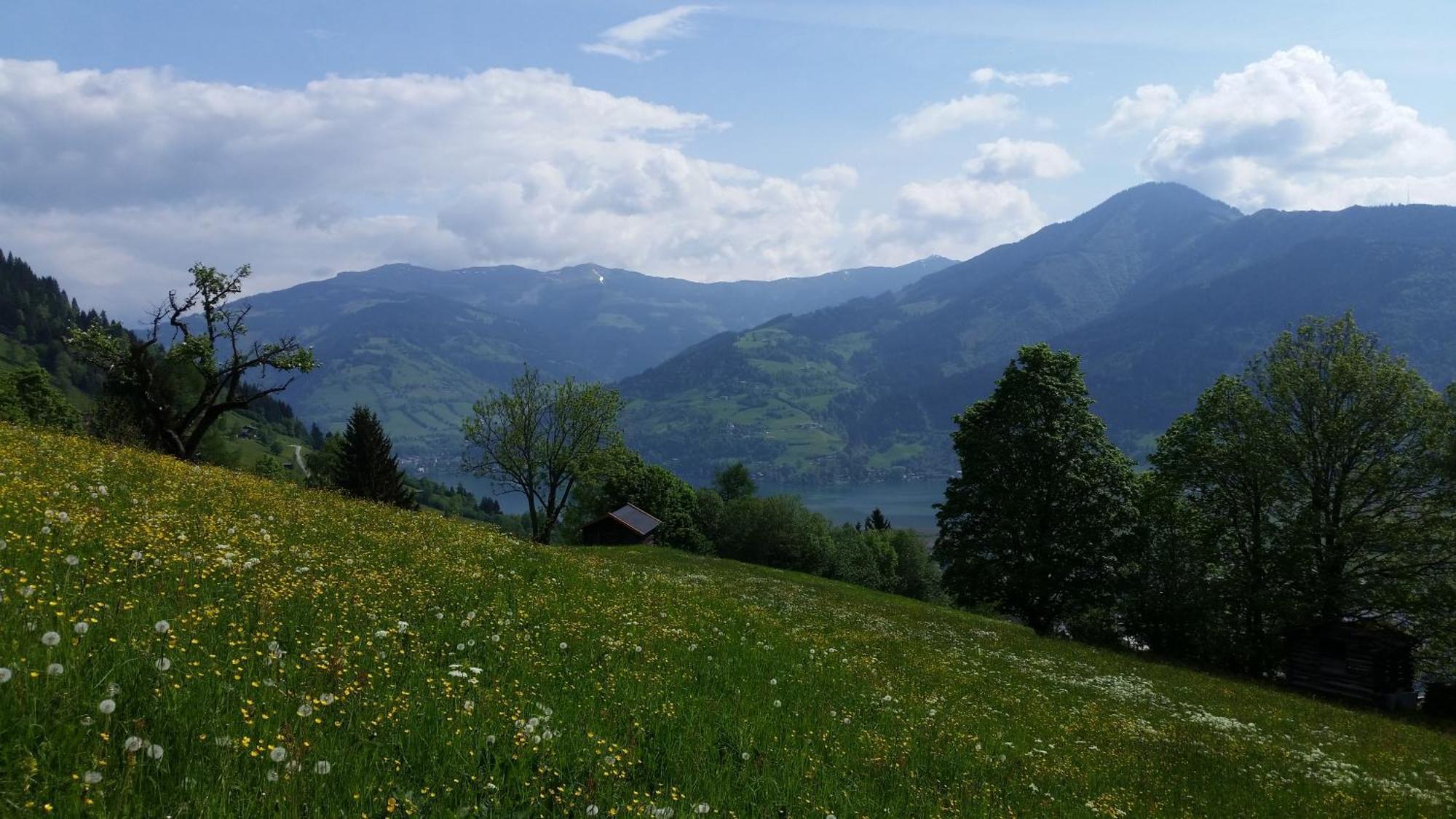 Ferienwohnung Mitterleithengut Zell am See Exteriér fotografie